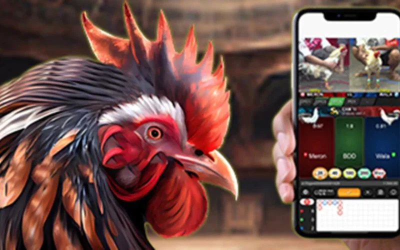 Đá gà cựa dao trực tuyến 6886win