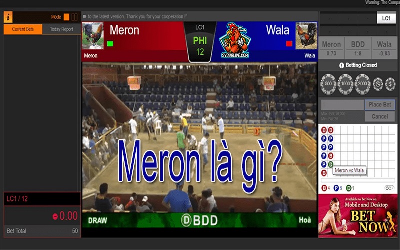 Meron là gì?